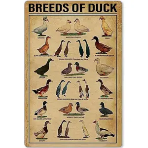 Duck Knowledge Metal Poster Breeds Of Duck Metal Print Tin Sign School Club Hunting Lodge Cafe Bedroom Bathroom Kitchen Home Art Wall Decoration Plaque