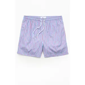 Pacsun Men's Vintage Striped 4.5" Swim Trunks