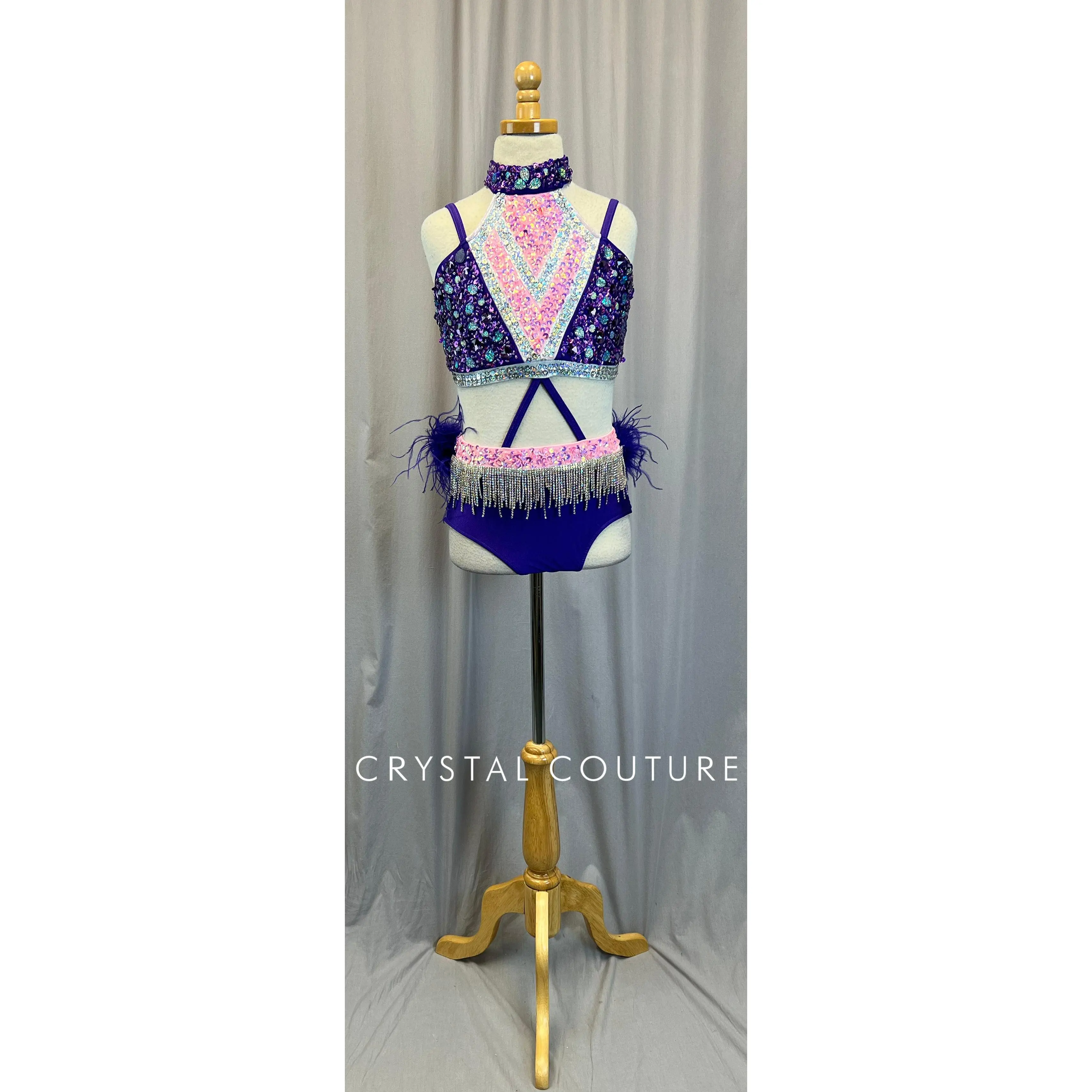 Purple and Pink Feather Sequin Leotard