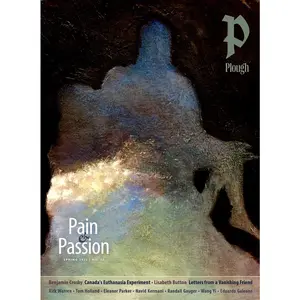 USED-Plough Quarterly No. 35 - Pain and Passion by Gauger, Randall (Paperback)