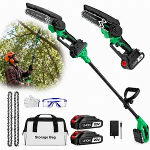 20V Cordless Pole Chainsaw Kit, 6-Inch Mini Electric Chainsaw with Extension Pole, 2 Batteries, Spare Chains, Charger, Safety Glasses, Gloves & Storage Bag, Lightweight Tree Trimmer for Branch Cutting, Garden Pruning, Yard Cleanup brushless
