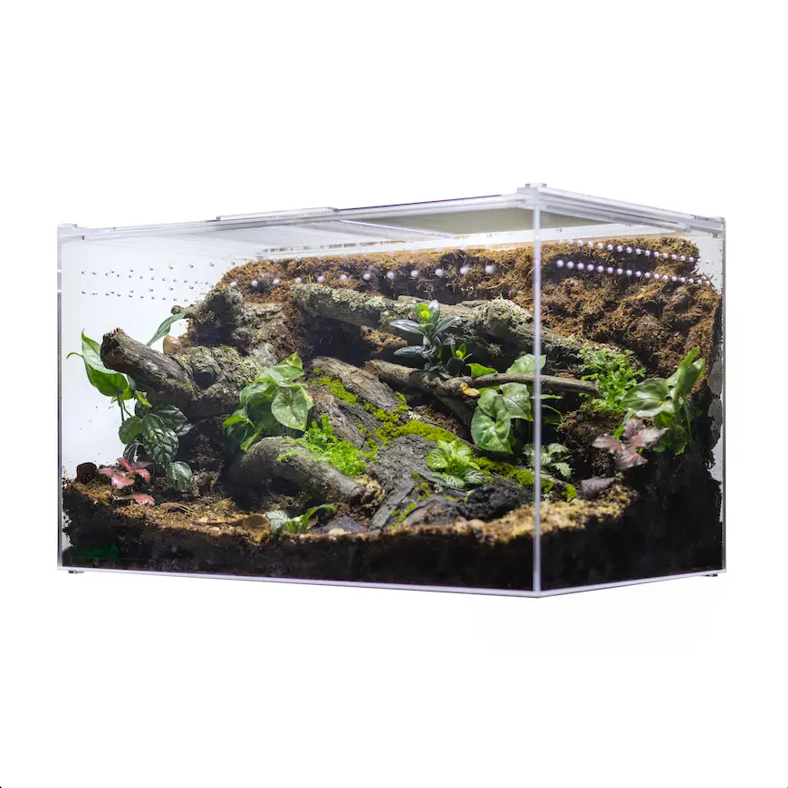 HerpCult Acrylic Enclosure - XXLarge Screen Top