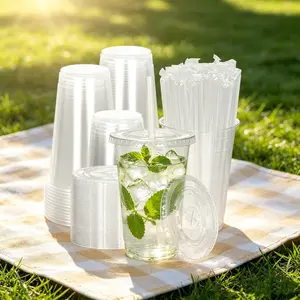 100-Pack Disposable Cold Drink Cups with Lids and Straws Transparent Plastic Cups 16oz to 24oz to 20oz Sturdy BPA-Free for Parties Picnics Barbecues and Travel,Summervibes