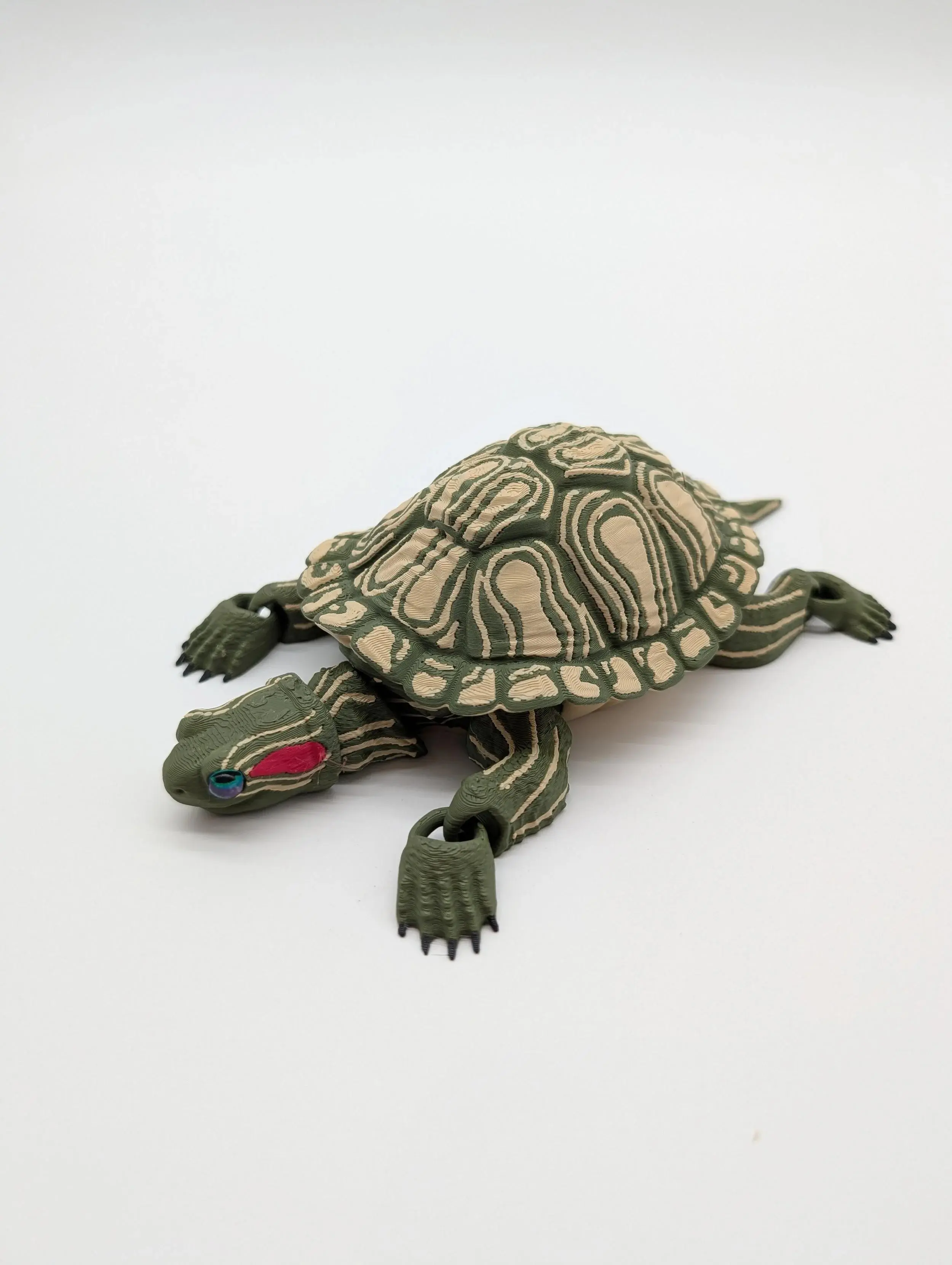Red-Eared Slider