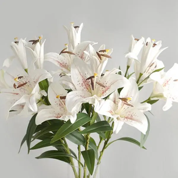 200 Pcs Mixed Double-Flowered Lily Seeds - Easy-to-Grow Perennial Flowers, Fragrant Non-GMO, Ideal for Garden, Pots, Floral Decor, Continuous Beauty