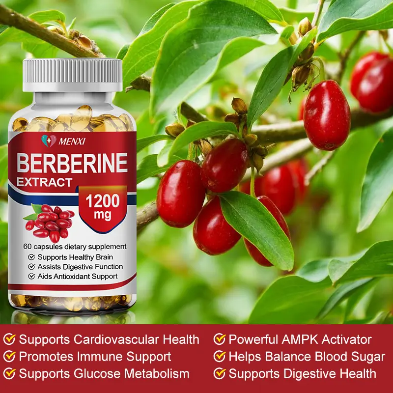Berberine Supplement With HCl 1200mg-Berberine Capsules for Blood Sugar Support, Cholesterol & Heart Health 60 Softgels