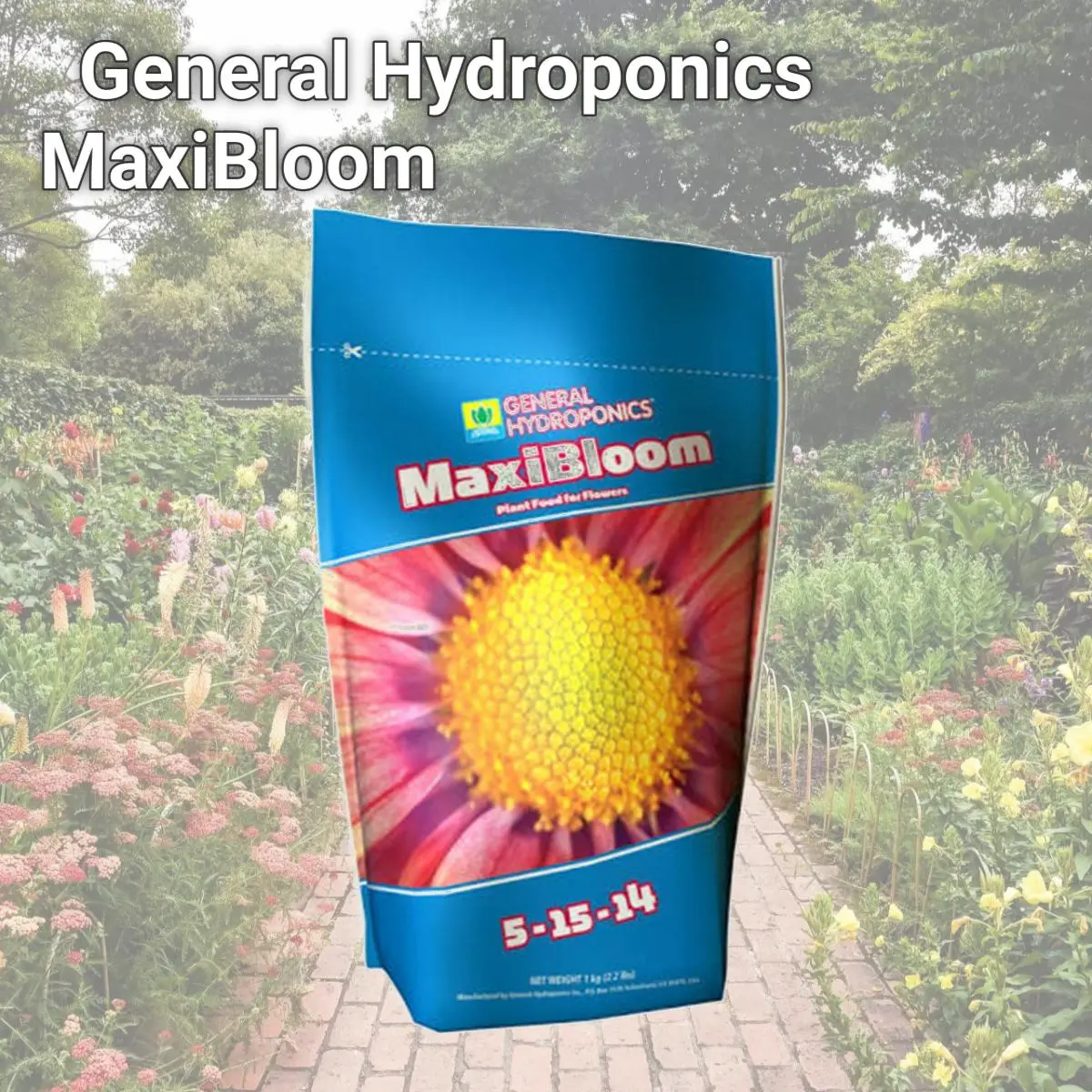 212 MAIN Scotts Miracle-Gro 7638075 General Hydroponics MaxiBloom Bloom-Boosting Fertilizer for Hydroponic Growth, Flowering Plants, and Garden Use