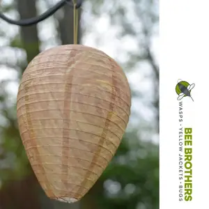 Bee Wasp Deterrent Hives 2 Decoy Nests for Wasps & Yellowjackets Outdoor Garden Wood Protection Natural Wax Paper Collapsible Design