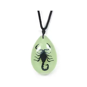 Glow In The Dark Pendant Necklace with Real Black Scorpion