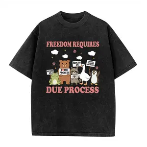 Vintage FREEDOM REQUIRES DUE PROCESS Anti Maga Anri ICE Human Rights Washed Cotton Shirt, Retro Bold Slogan Graphic Tee