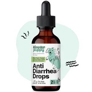 Anti-Diarrhea Liquid Drops for Dogs - Psyllium Husk Fiber Supplements - Diarrhea Relief Drops - Prebiotics for Dogs' Digestive Support - Canine Food Supplements for Firmer Stool - 2 oz