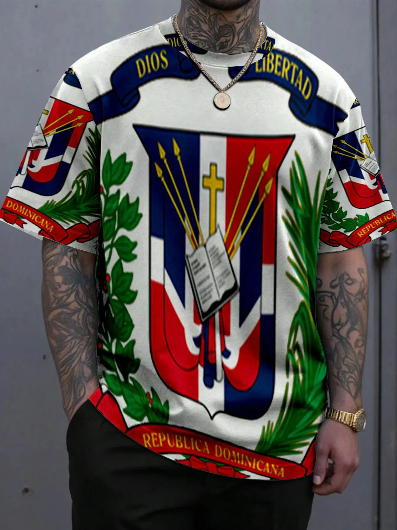 Men's Dominican Flag & Coat of Arms Cultural Thermal Transfer Geometric Animals Print T-Shirt, Perfect Gift for Alternative Fashion Lovers, Casual Long Fitted Tee, Streetwear, Menswear, Top