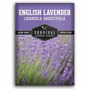 Survival Garden Seeds Lavender Seed for Garden Planting - Fragrant Flowers Non-GMO Heirloom Lavandula Herb for Relaxing & Drought Tolerant Perennial Favorite