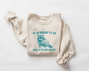 It Is What It Is And It Is Not Great Sweatshirt, Mental Health Sweatshirt, Funny Sweatshirt Women, Meme Sweatshirt, Raccoon Shirt
