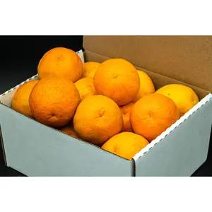 Medium Box of California Valencia or Naval Oranges (10-20 oranges)
