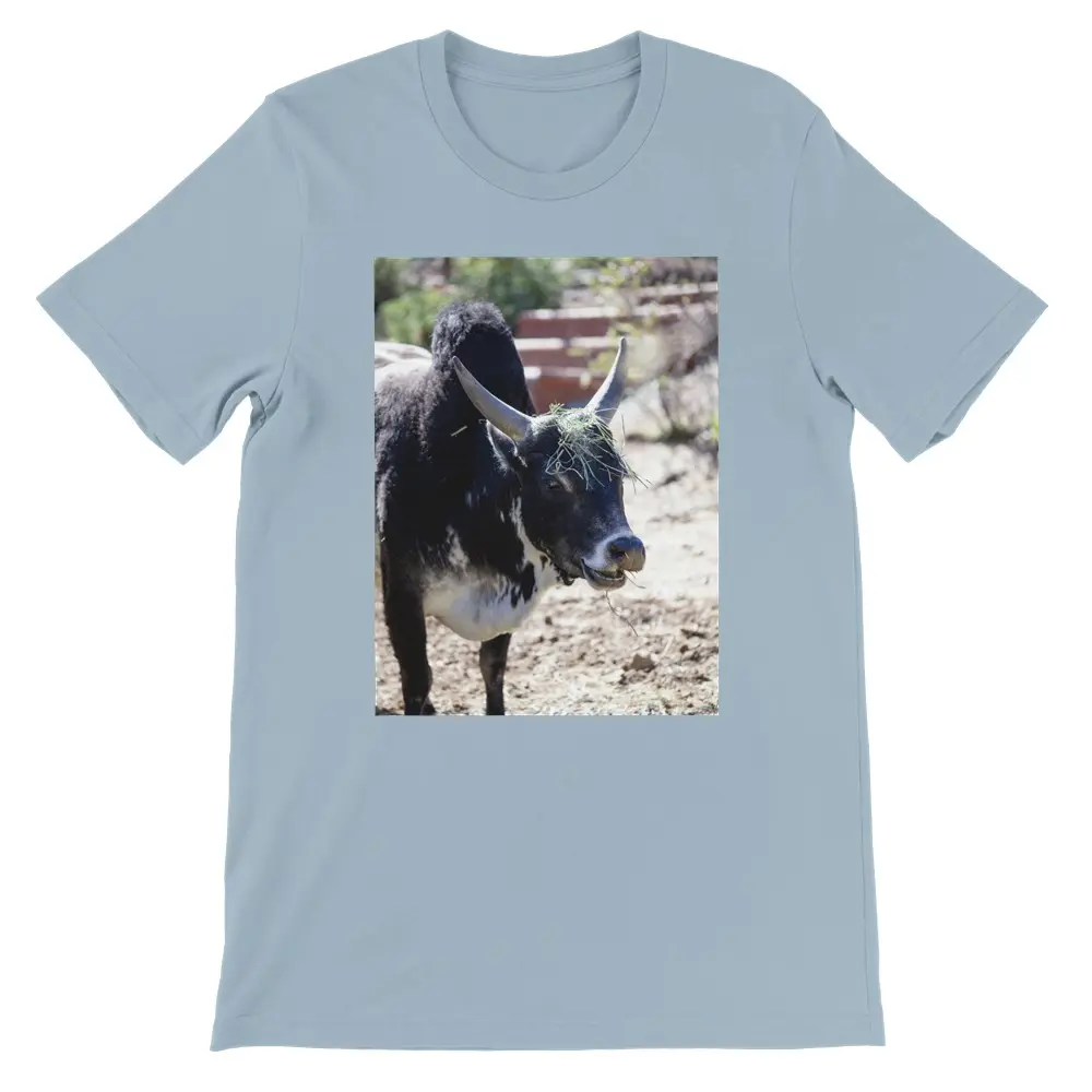 Premium Unisex Crewneck T-shirt | Bella + Canvas 3001