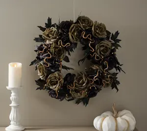 Martha Stewart 24" Illuminated Rose & Snake Wreath