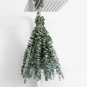 10 Pcs Real Dried Eucalyptus Stems, 17 Inch Fresh Preserved Eucalyptus Bundle for Shower Hanging, Bathroom Decor, Wedding Centerpieces, Farmhouse Home Decor, DIY Crafts