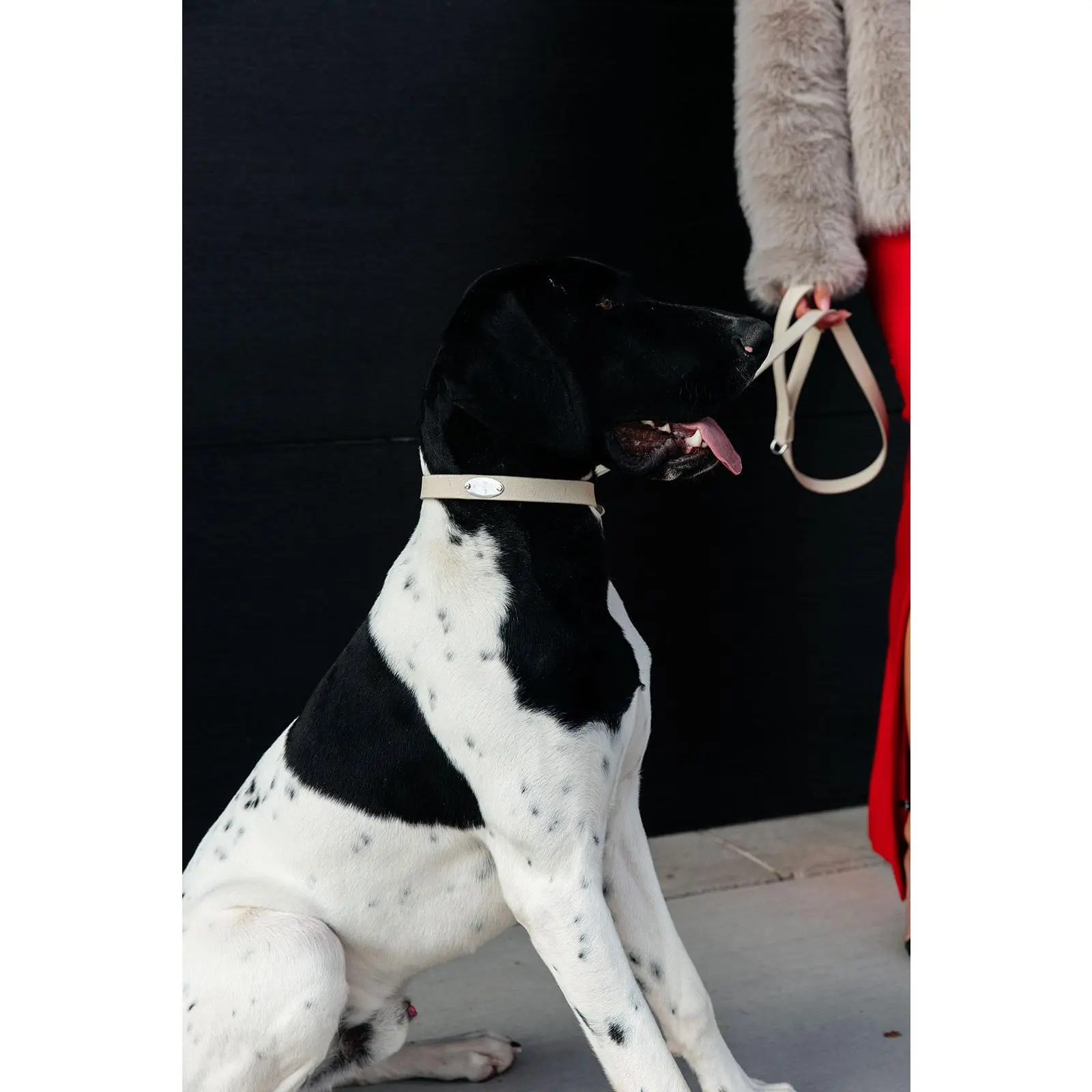 Leather Leash - Cashmere Cream
