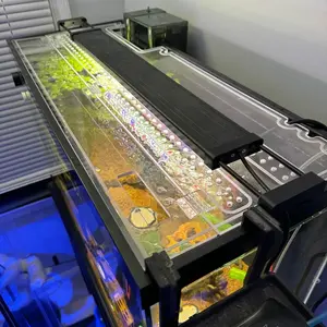 Clear Aqueon Lid All Sizes, 10, 20L, 20H, 29, 36Gal Bow, 40Breeder