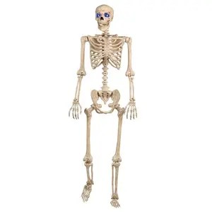 5FT Light Up Blue Eyes Human Skeleton Poseable Decoration