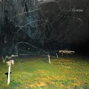 Yo La Tengo - This Stupid World  [VINYL RECORD - LP]