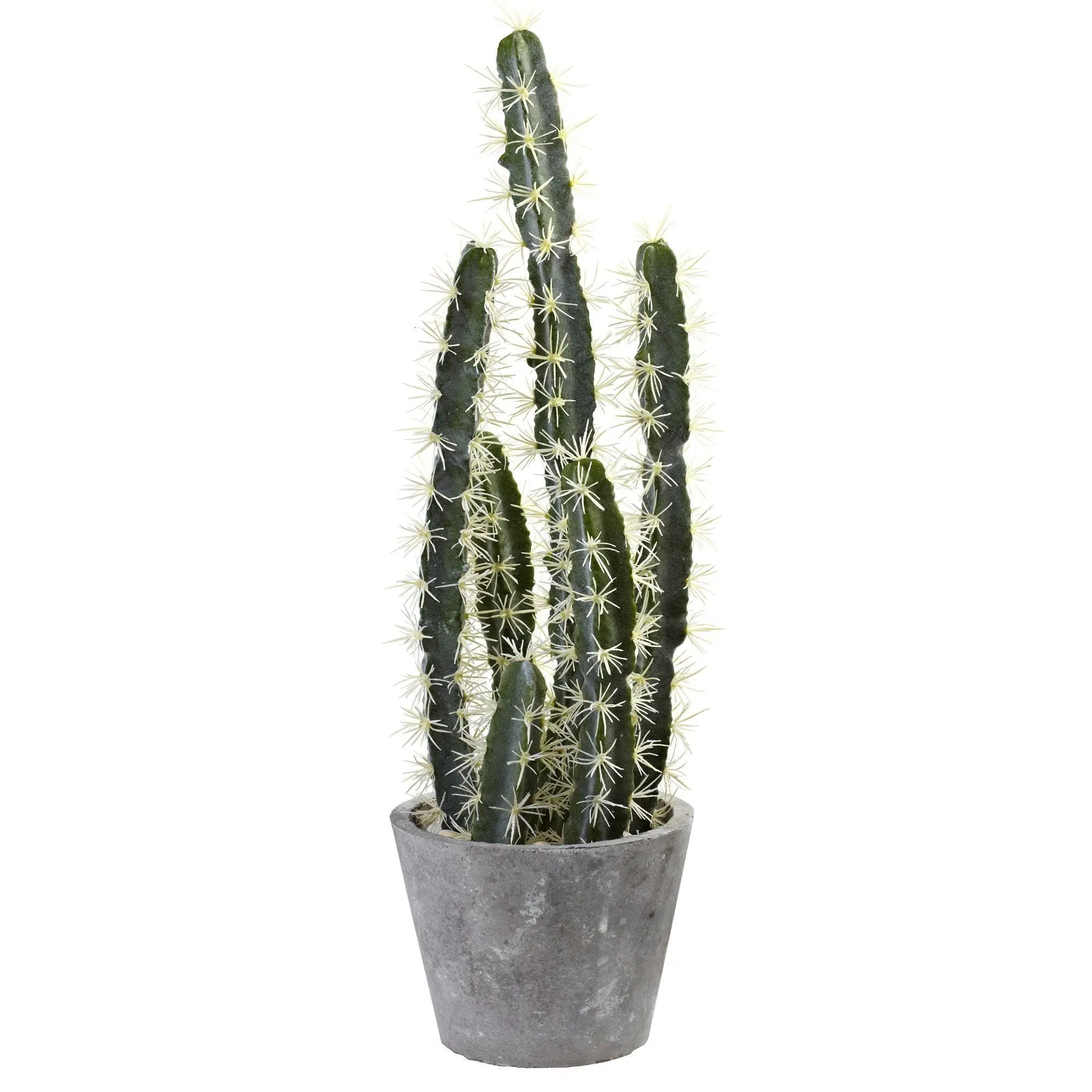 Modern Indoor Decorative Cactus Garden with Cement Pot - Office Decor, No-Water Upkeep Home Improvement Planter for Indoor Spaces