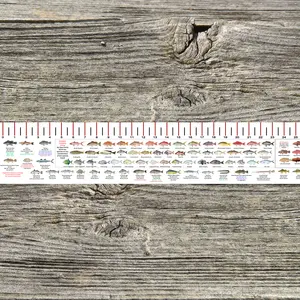 MARYLAND STATE WATERS SALT WATER RULER 50 INCH FISH ID AND STATE REGULATIONS FISH RULER DECAL