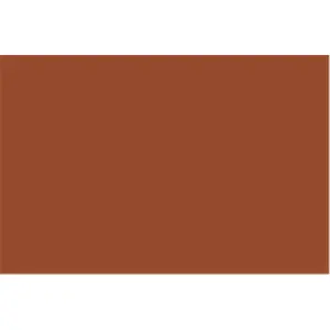 Bazic  22" X 28" Brown Poster Board Pack of 25