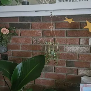review image 7