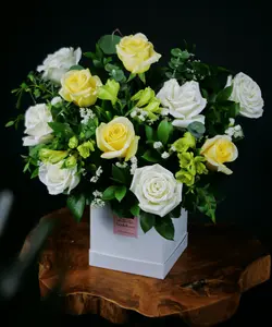 Lexi Box - Limoncello