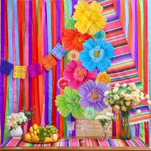 12 Packs 10" & 20" Tissue Paper Flowers for Wall Backdrop Mexican Pom, Rainbow Color Giant Fiesta Paper Flowers for Carnival Crafts Birthday Party Decorations