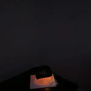 review image 4