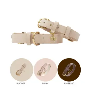 TDP Premium Dog Collar - Vegan Leather, Brass Fittings, and Keepsake Box