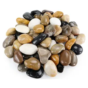 Large Pebbles for , 5lbs Colorful Pebbles 2-3 Inch Decorative River Rocks for Indoor Planters, High Polished Stones for Vase Filler Fish  Landscaping Garden