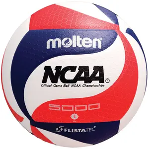 Molten V5M5000-3N Official Men's Volleyball