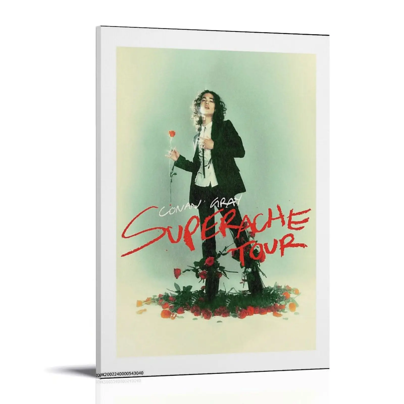 Conan-gray Tour 2023 Poster Posters Music Album Cover Posters Canvas Wall Art High-Resolution Vintage Band & Artist Prints for Room