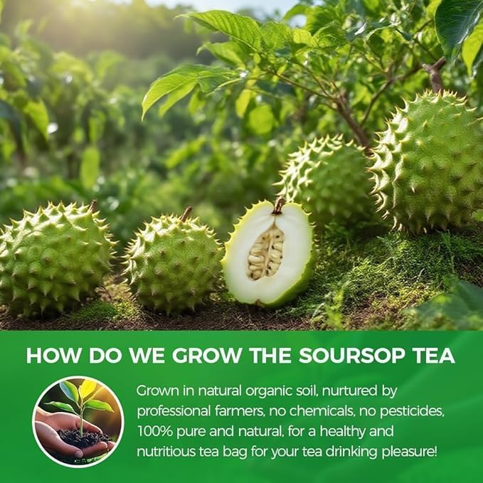 40 Premium Soursop Graviola Leaf Tea Bags, 100% Natural Pure Hoja Guanabana Tea, Handmade Detox Calm Sleep Tea, Sugar & Caffeine Free, Corn Fiber Tea Bags