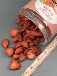 Freeze Dried Strawberries 5oz (150g) Crunchy Sliced Fruit Snack No Added Sugar 100% Natural for Smoothies Baking Kids Friendly Healthy Fruit Chips