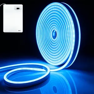 LITSHOW Ice Blue Neon LED Strip Light, Battery Box Powered (Batteries Not Included), Bright Non-Glare Dotless Tape for Art Craft Party Stage Cosplay Home Decor