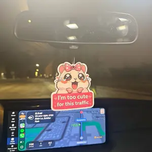 Car Air Freshener Original Design Long Lasting Fragrance Lightweight Easy to Hang Fits All Cars Rearview Mirror Aesthetic Interior Decor Perfect Gift for Car Lovers