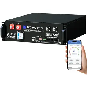 ECO-WORTHY Cubix100 48V 100Ah LiFePO4 Lithium Battery w/Bluetooth | UL1973 & UL9540A & CEC Listed | 5120Wh Server Rack Battery for Solar Energy Storage, Home Backup Power