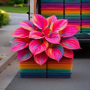 Hosta Seeds 800 pcs for Vibrant Garden Easy Planting Flowers Space FlowerFlowering Bushes Enhance Garden Appeal Continuous Beauty Ideal for Flower Beds