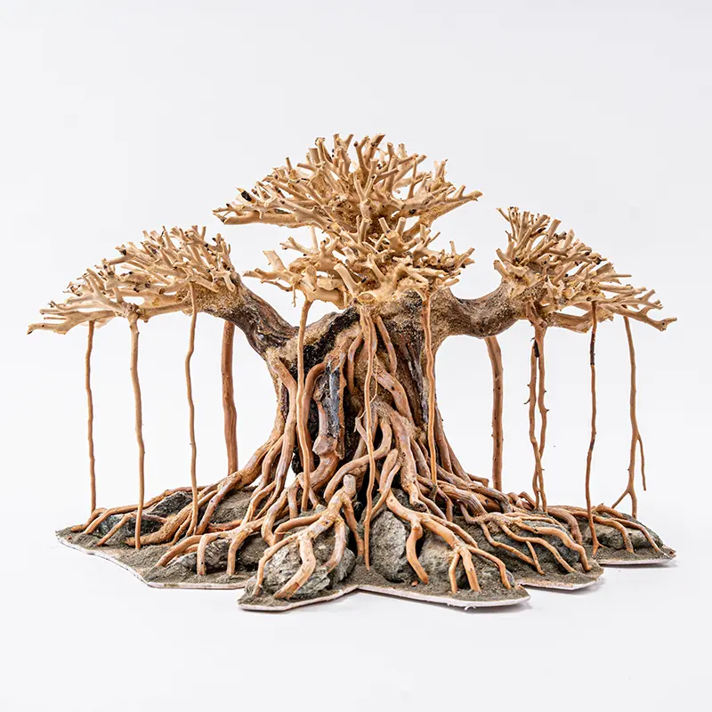 Aquarium Bonsai Tree Aquarium Bonsai Tree