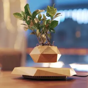 Cool Magnetic Levitating Plant Pot, 360° Rotating Floating Flower Pot with Wooden Texture Base, Unique Home & Office Desk Accessory