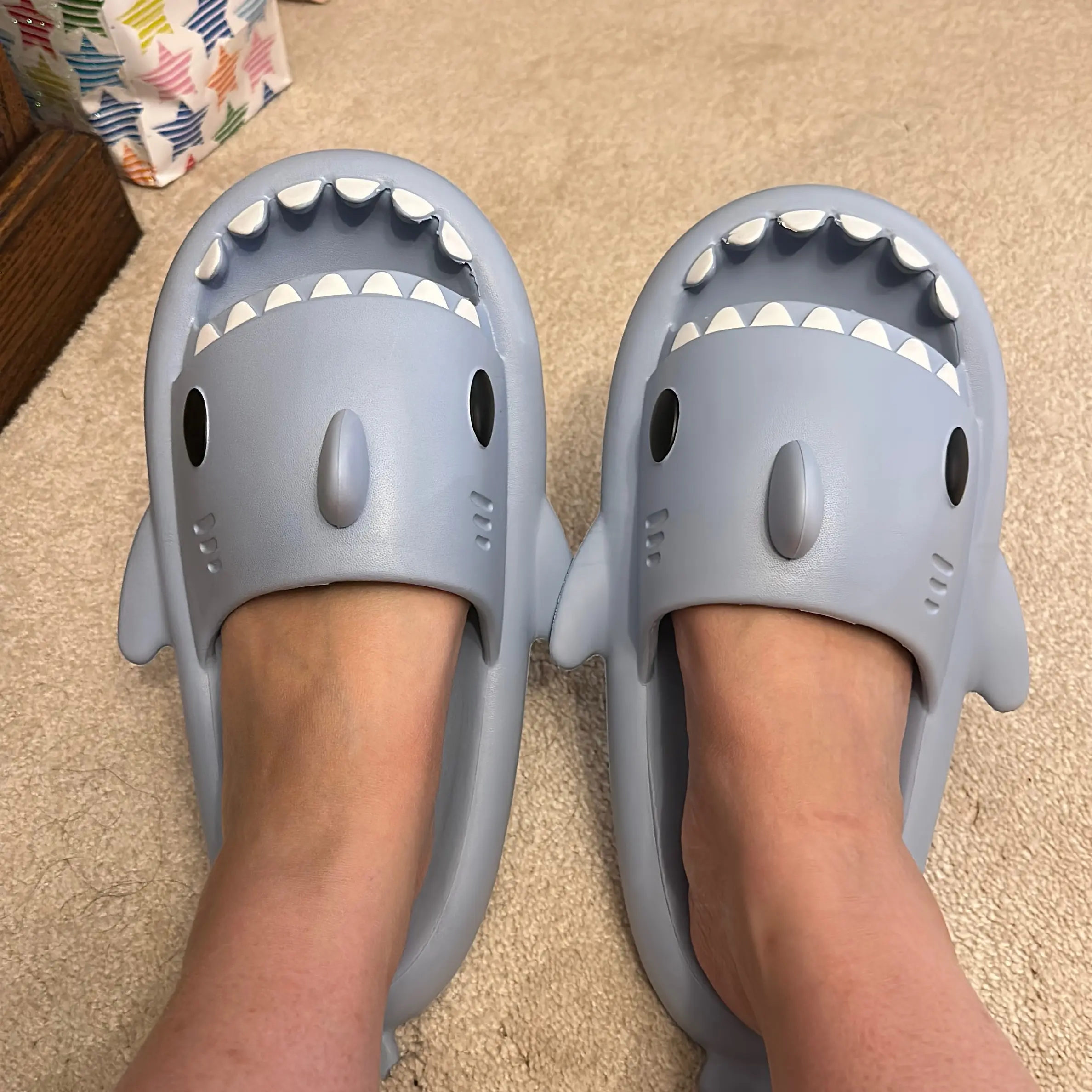 Shark Shape Slippers Indoors