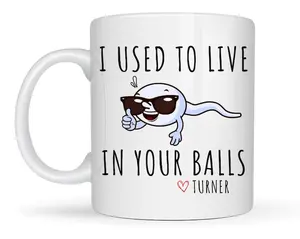 Funny Fathers Day Mug for Dad, I Used to Live In Your Balls, Dad Birthday Gift, Father's Day Gift, Personalized Gift for Dad Gifts Funny