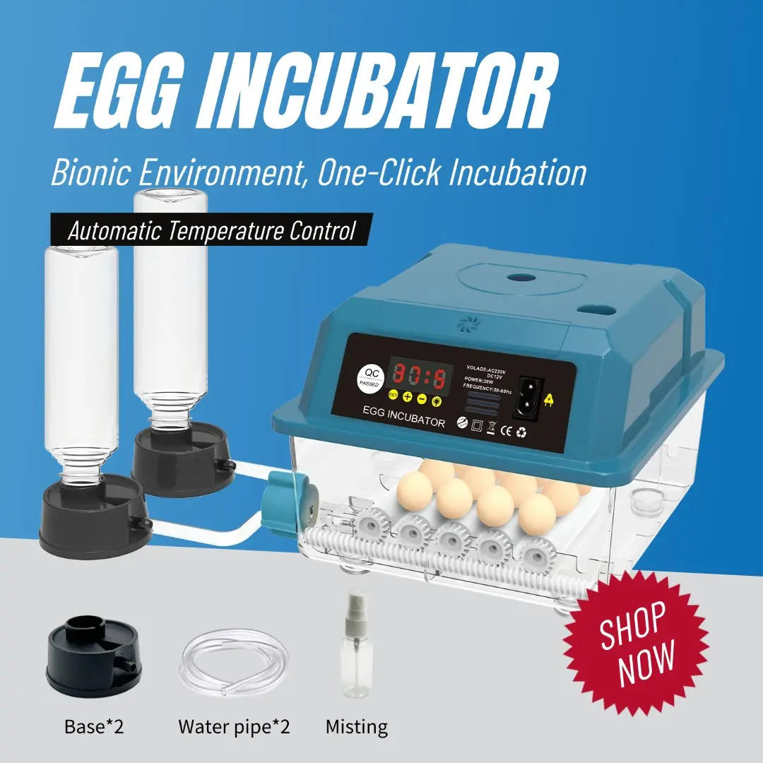 30 Egg Incubator with Humidity Display, Egg Candler, Automatic Egg Turner, for Chickens, Duck, Goose, Quail 30 Egg Incubator with Humidity Display, Egg Candler, Automatic Egg Turner, for Chickens, Duck, Goose, Quail