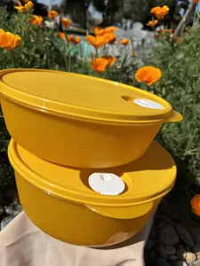 Maxicristal 2.75 litros y mega cristal 3.8 litros Orange lunch box