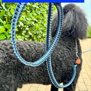Handcrafted Colorful Paracord Dog Leash - High Quality, Durable, Washable, Perfect for Everyday Walks & Outdoor Adventures
